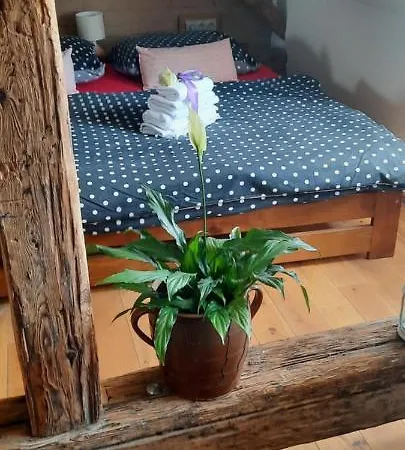 Apartman Penzion-apartmán U Johana *